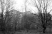 Pripyat, Chernobyl Exclusion Zone (#6849)